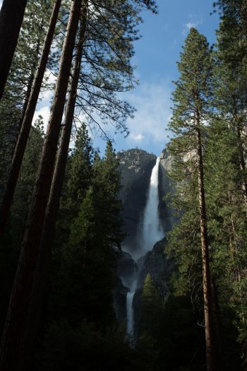 Yosemite, nature park Wallpaper 640x960