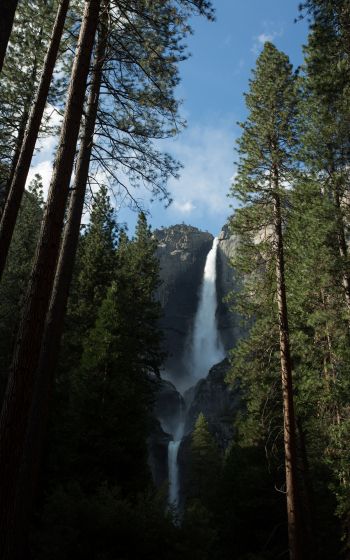 Обои 1600x2560 Йосемити, природный парк