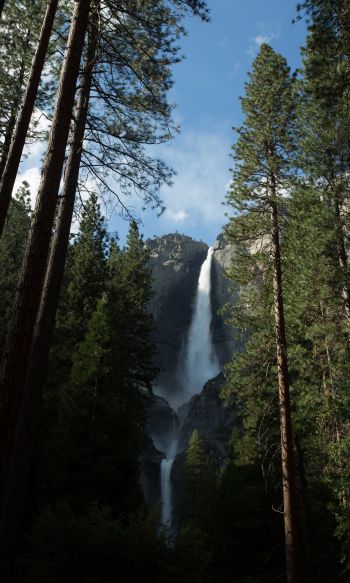 Yosemite, nature park Wallpaper 1200x2000