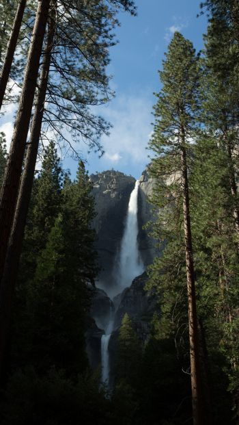 Yosemite, nature park Wallpaper 640x1136