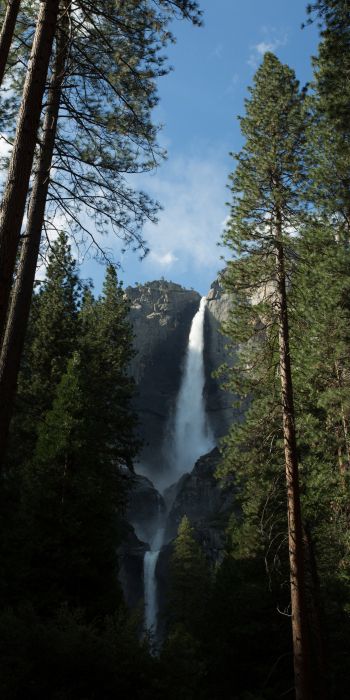 Yosemite, nature park Wallpaper 720x1440