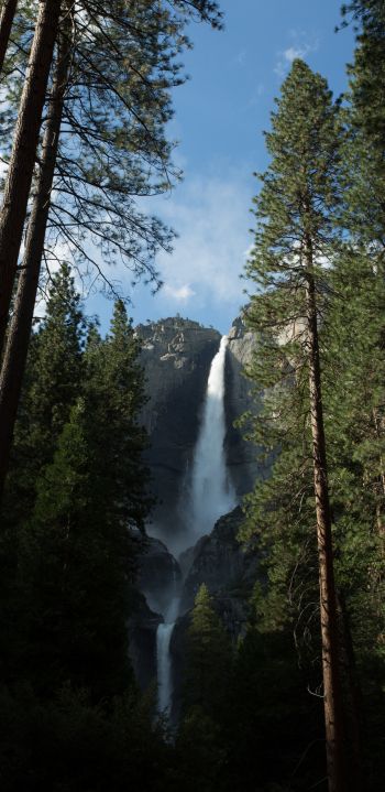 Yosemite, nature park Wallpaper 1440x2960
