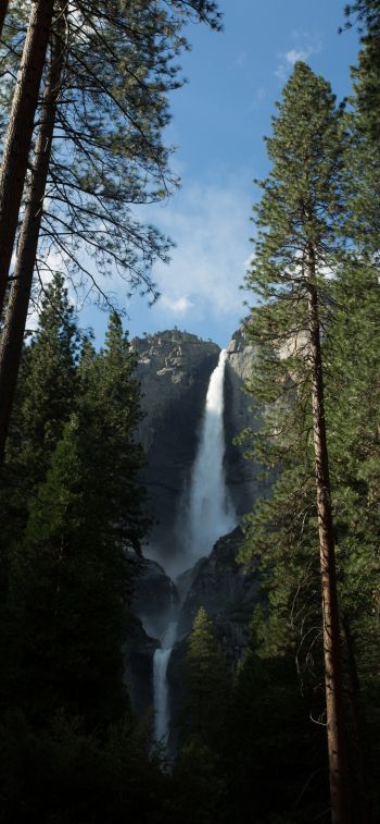 Yosemite, nature park Wallpaper 1170x2532