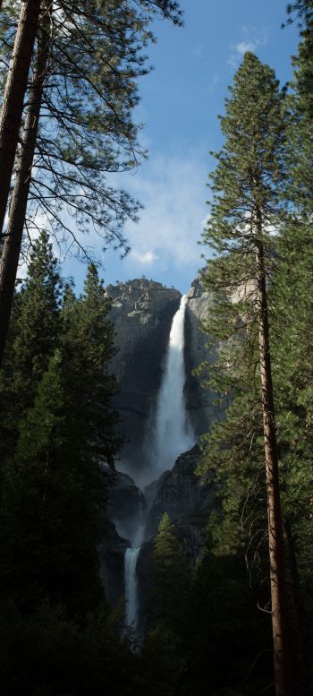 Yosemite, nature park Wallpaper 1080x2400