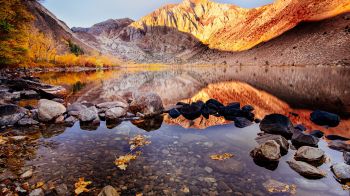 autumn, lake, landscape Wallpaper 1280x720