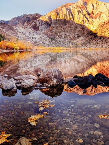 autumn, lake, landscape Wallpaper 1620x2160