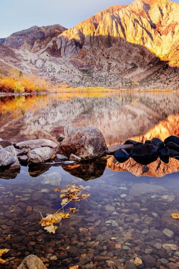 autumn, lake, landscape Wallpaper 640x960