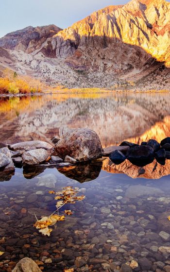 autumn, lake, landscape Wallpaper 1200x1920