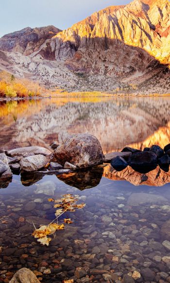 autumn, lake, landscape Wallpaper 1200x2000