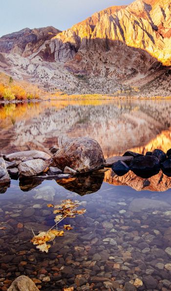 autumn, lake, landscape Wallpaper 600x1024