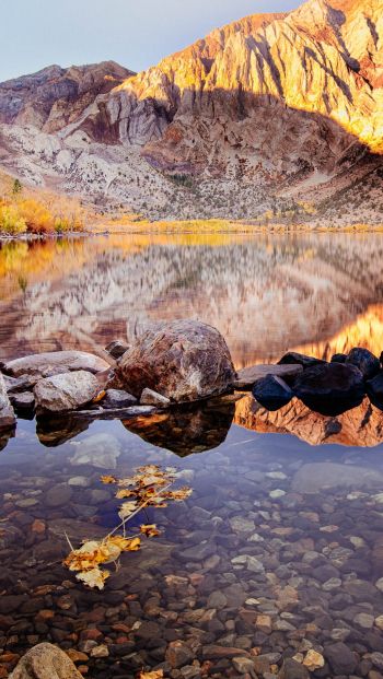 autumn, lake, landscape Wallpaper 640x1136