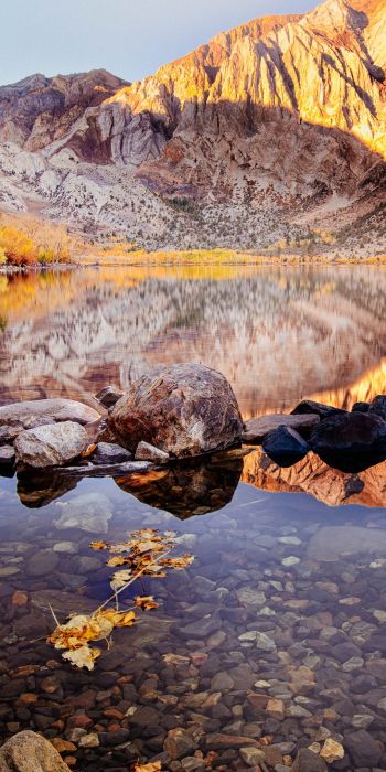 autumn, lake, landscape Wallpaper 720x1440