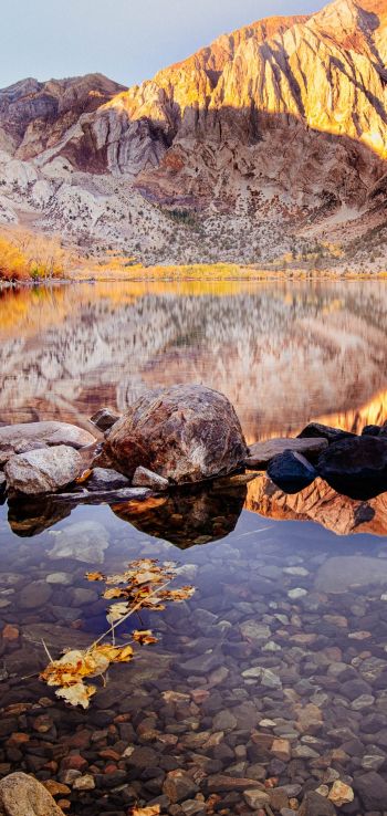 autumn, lake, landscape Wallpaper 720x1520
