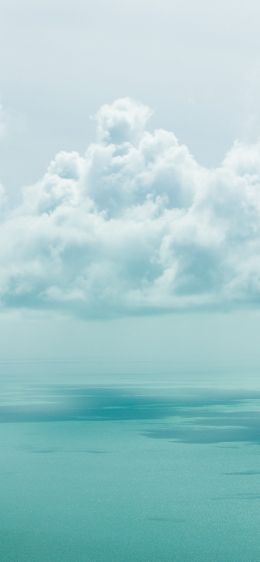 cumulus, sea Wallpaper 828x1792