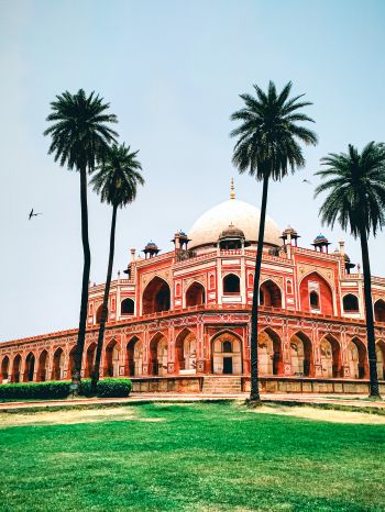 palace, India, Pakistan Wallpaper 1668x2224
