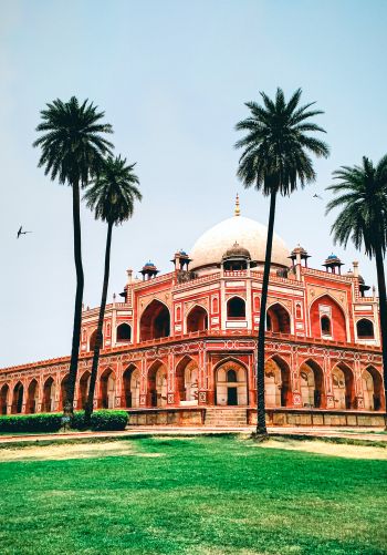 palace, India, Pakistan Wallpaper 1668x2388