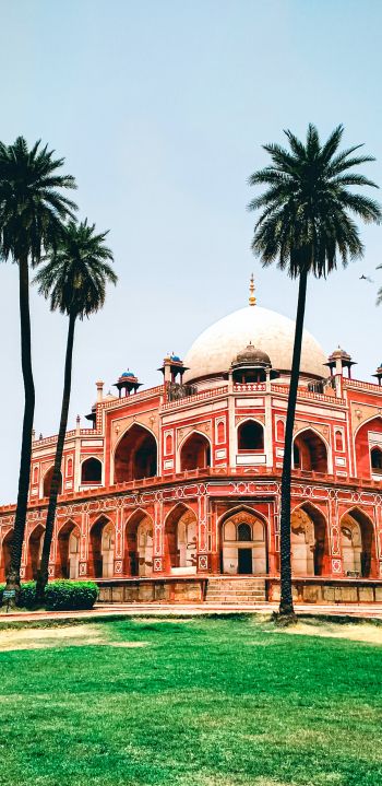 palace, India, Pakistan Wallpaper 1440x2960