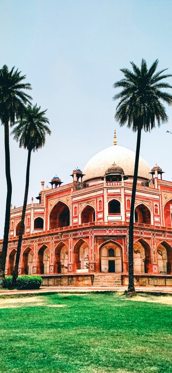 palace, India, Pakistan Wallpaper 1080x2340