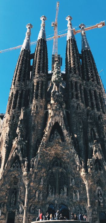 Sagrada Familia, Barcelona, Spain Wallpaper 1440x3040