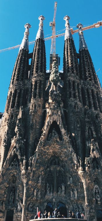 Sagrada Familia, Barcelona, Spain Wallpaper 828x1792
