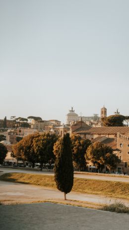 Rome, metropolitan city of rome, Italy Wallpaper 640x1136