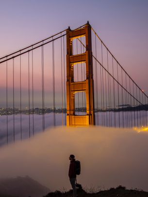 suspension bridge, San Francisco Wallpaper 1536x2048
