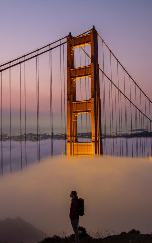 suspension bridge, San Francisco Wallpaper 1752x2800