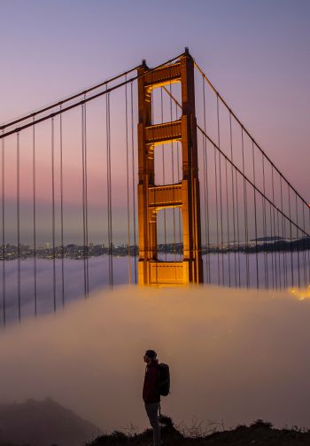 suspension bridge, San Francisco Wallpaper 1640x2360