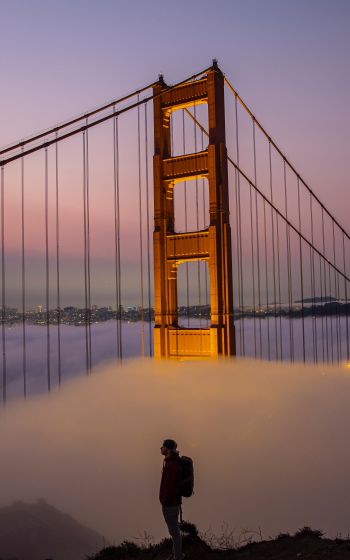 suspension bridge, San Francisco Wallpaper 1600x2560