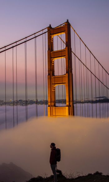 suspension bridge, San Francisco Wallpaper 1200x2000