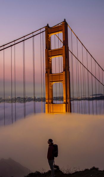 Обои 600x1024 подвесной мост, Сан-Франциско