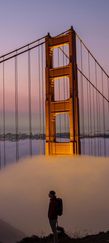 suspension bridge, San Francisco Wallpaper 1440x3200