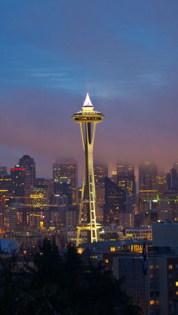 tower, night city Wallpaper 640x1136