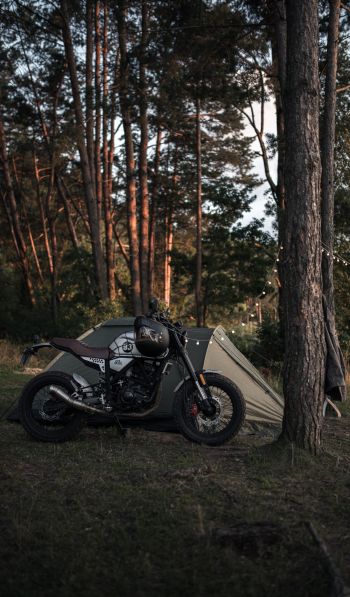 camping, in the woods Wallpaper 600x1024