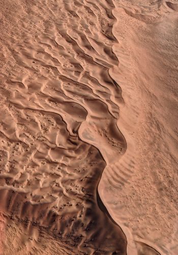 Обои 1668x2388 песок, пустыня, дюна