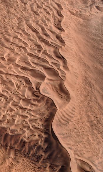sand, desert, dune Wallpaper 1200x2000