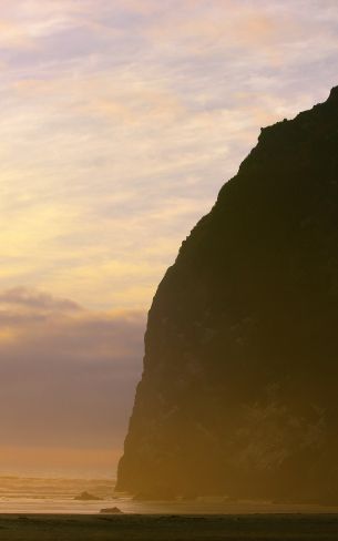 Cannon Beach, Oregon, USA Wallpaper 1600x2560