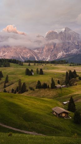 Alpe di Siusi, Italy Wallpaper 640x1136