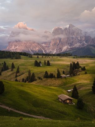 Alpe di Siusi, Italy Wallpaper 1536x2048