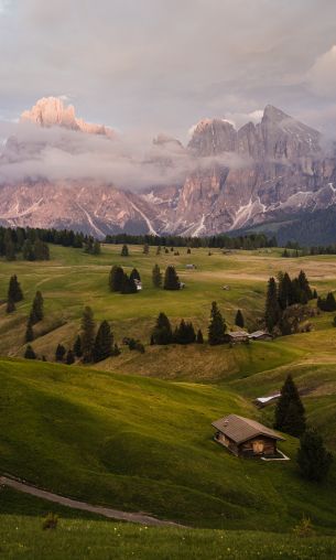 Alpe di Siusi, Italy Wallpaper 1200x2000