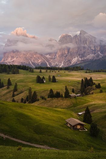 Alpe di Siusi, Italy Wallpaper 640x960