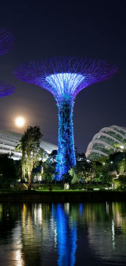 Gardens by the Bay, Singapore Wallpaper 1440x3040