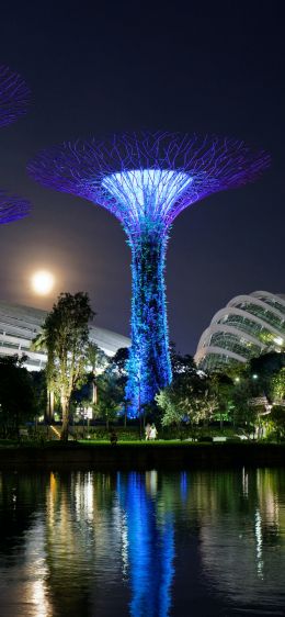 Gardens by the Bay, Singapore Wallpaper 1284x2778