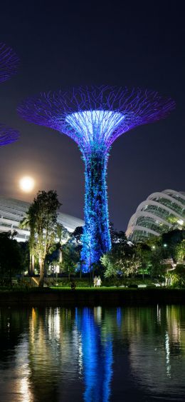 Обои 1080x2340 Сады у залива, Сингапур