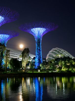 Обои 2048x2732 Сады у залива, Сингапур