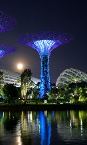 Gardens by the Bay, Singapore Wallpaper 1200x2000