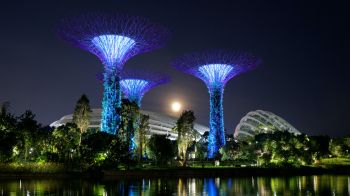 Обои 2560x1440 Сады у залива, Сингапур