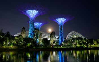 Gardens by the Bay, Singapore Wallpaper 1920x1200