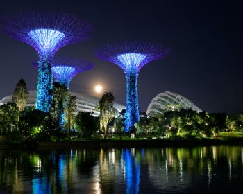 Gardens by the Bay, Singapore Wallpaper 1280x1024