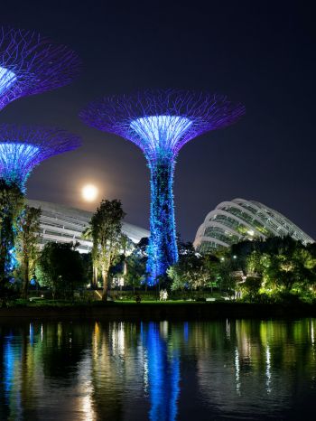 Обои 1620x2160 Сады у залива, Сингапур